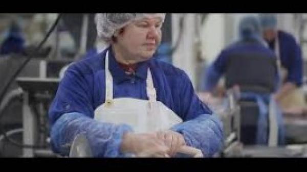 SAP Logistics Business Network - Material Traceability Option