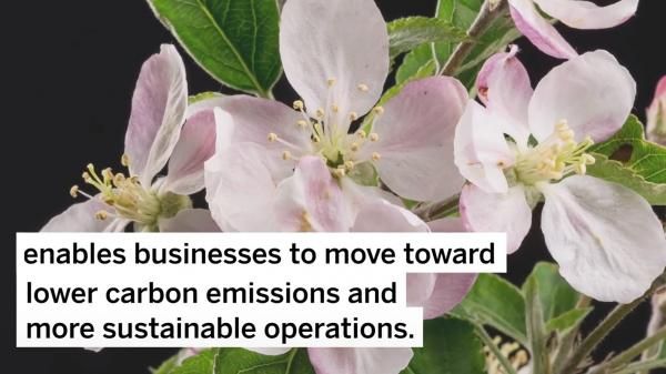 SAP Product Footprint Management